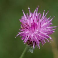 08/08/2024