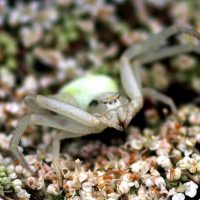 20/07/2023 sur Carotte