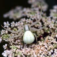 20/07/2023 sur Carotte