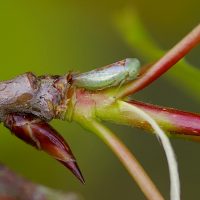 22/04/2025 sur Tremble