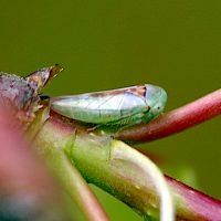 22/04/2025 sur Tremble