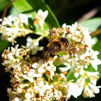 14/06/2023 sur Tro&euml;ne